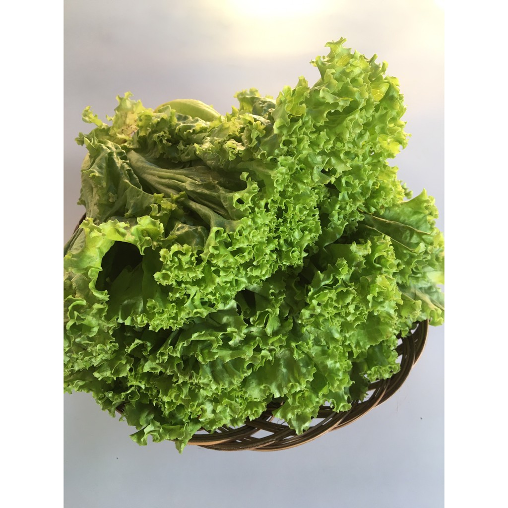 

Selada Bokor 250 Gram