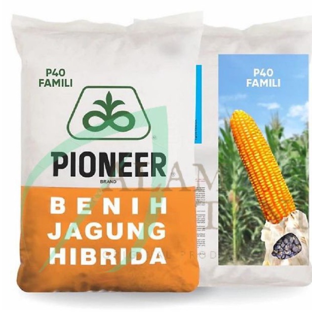Benih Jagung P40 Family Famili 1 Kg corteva Benih Murah