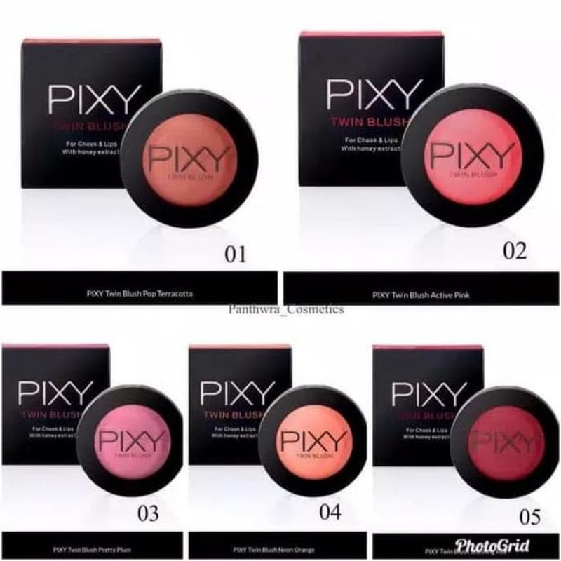 PIXY Twin Blush - 4g