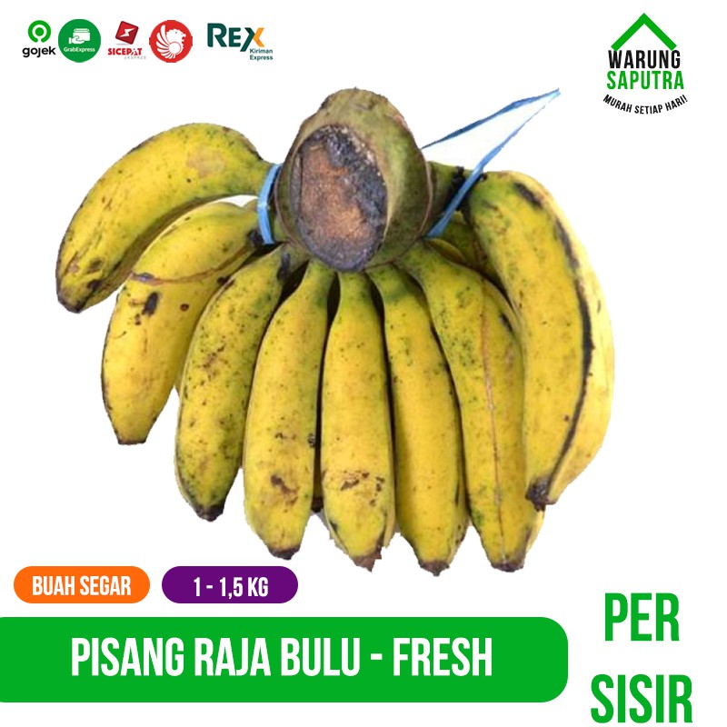 

Buah Pisang Raja Bulu Manis Bandung 1 kg