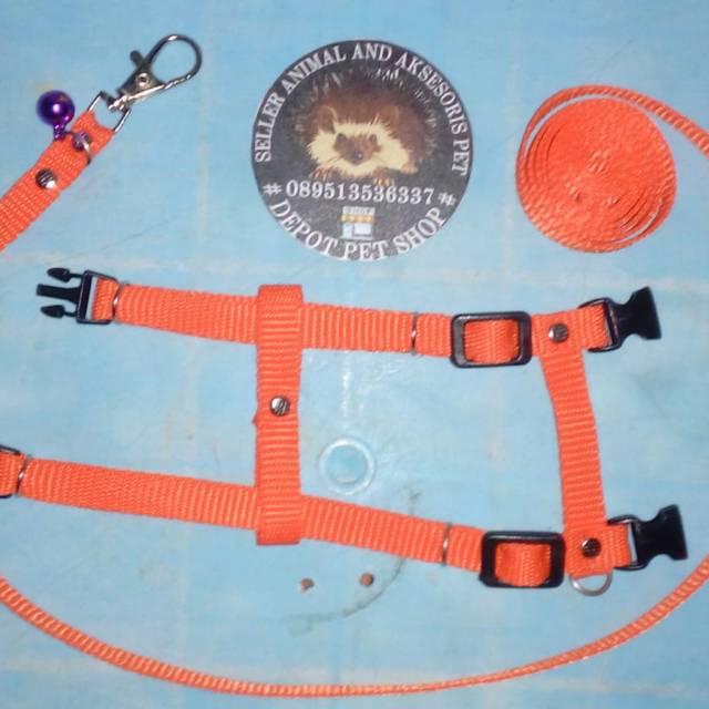 Harnes H/Tali tuntun Musang/Kucing