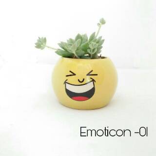  Pot  Mini Kaktus  Emoticon Shopee  Indonesia