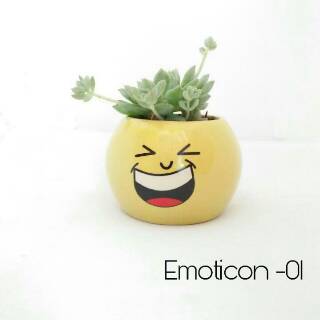  Pot  Mini  Kaktus  Emoticon Shopee Indonesia