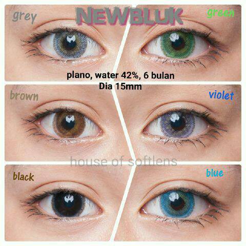 [ Normal ] Softlens Newbluk Color