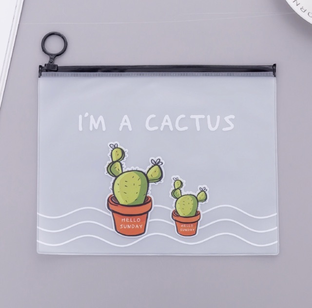 TEMPAT PENSIL TRANSPARAN KAKTUS / Kantong Transparan / Tempat Alat Tulis Kaktus-1
