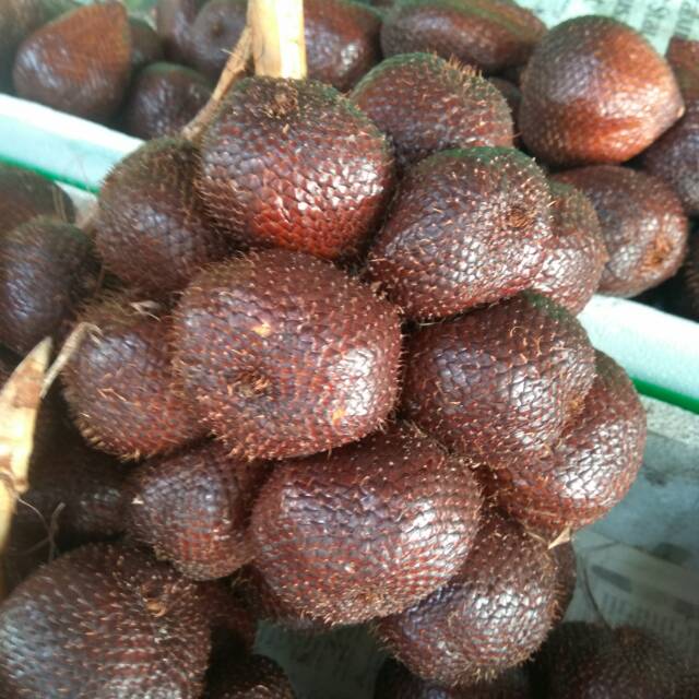 

Salak Pondoh Enak