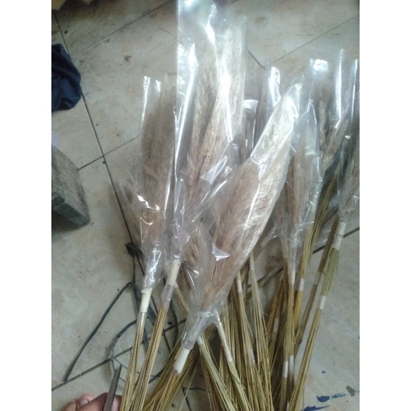 bunga kering ilalang