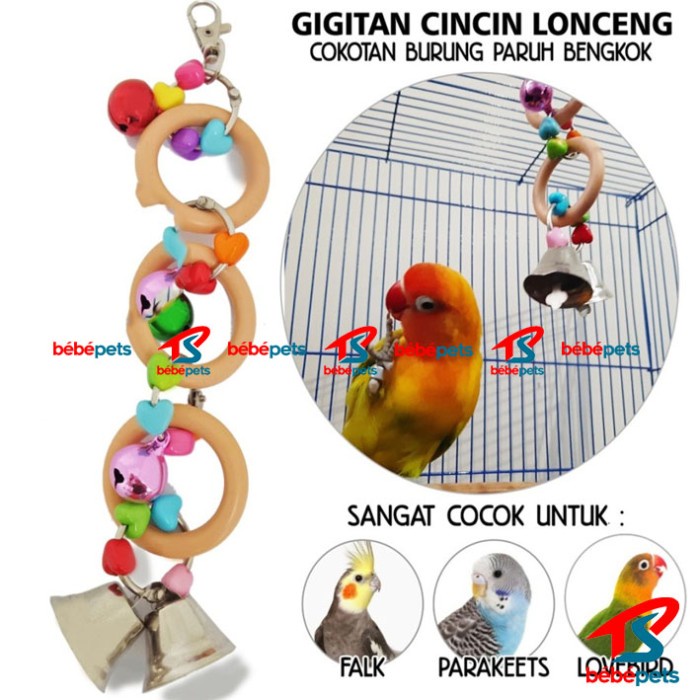 GIGITAN BURUNG CINCIN GLOBE COKOTAN LOVEBIRD PARKIT PARROT NURI