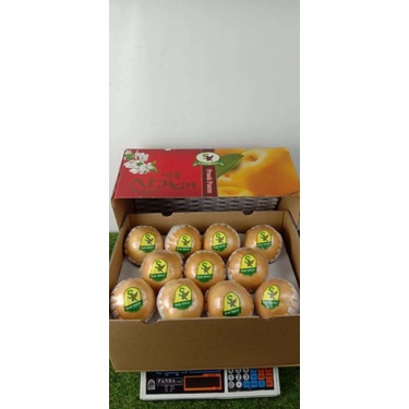 Buah pear singo korea SK