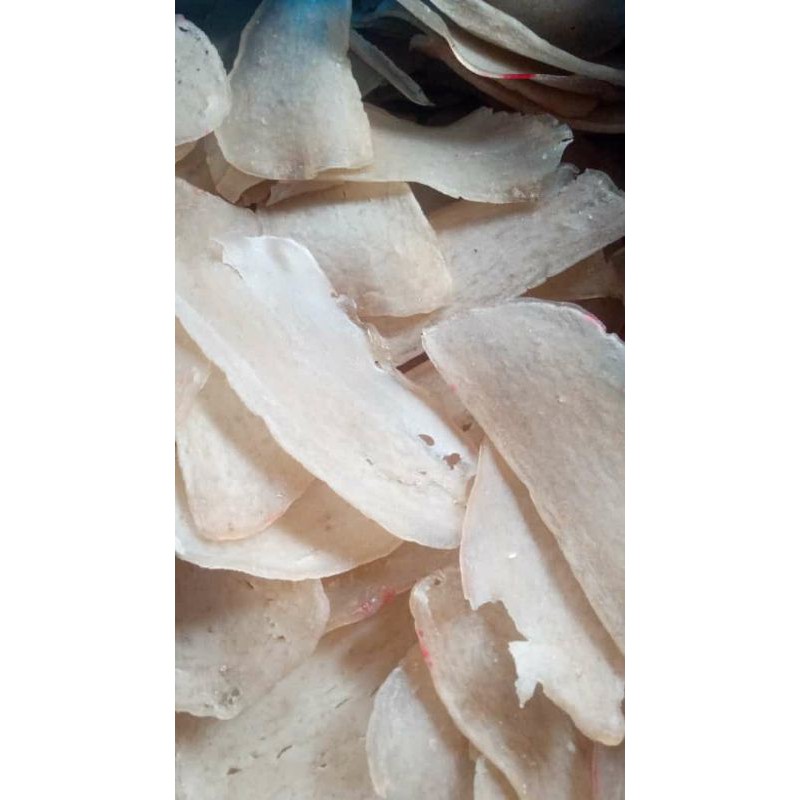 

kerupuk tenggiri