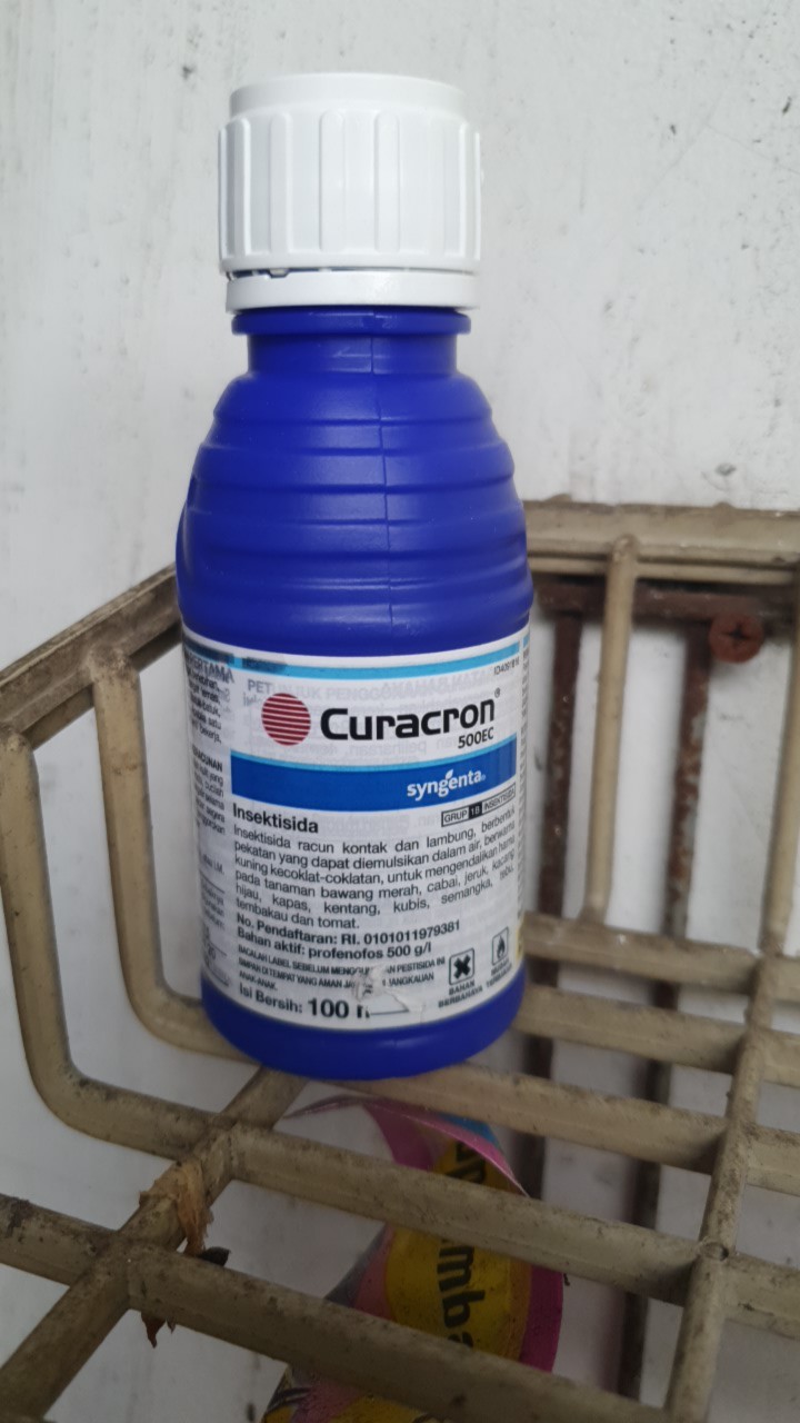 Curacron | Insektisida | Kutu Putih | Obat Hama