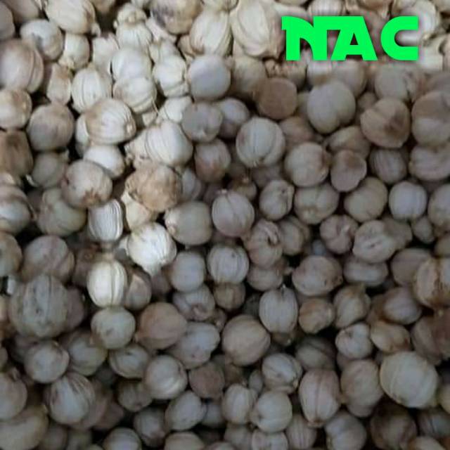 

Kapolaga Kering 1 kg