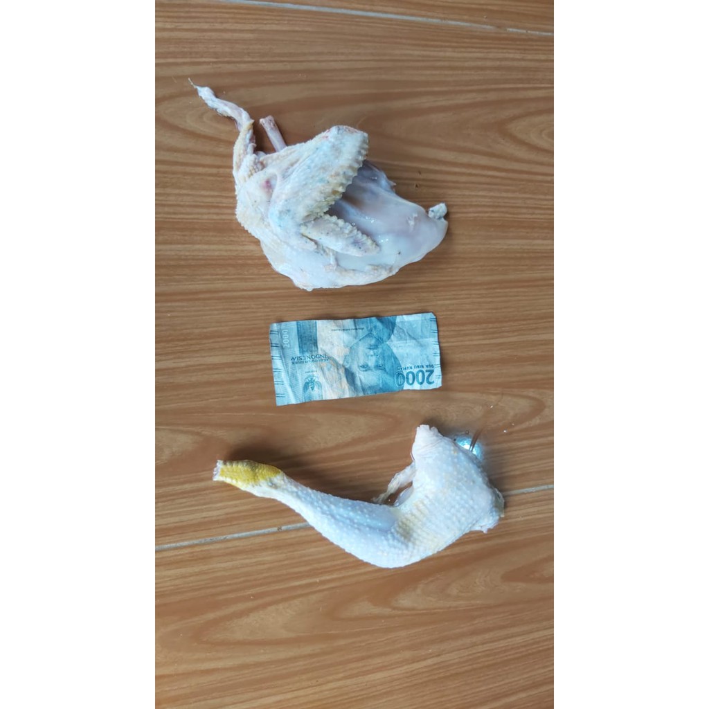 

ayam joper / ayam kampung / kampung super