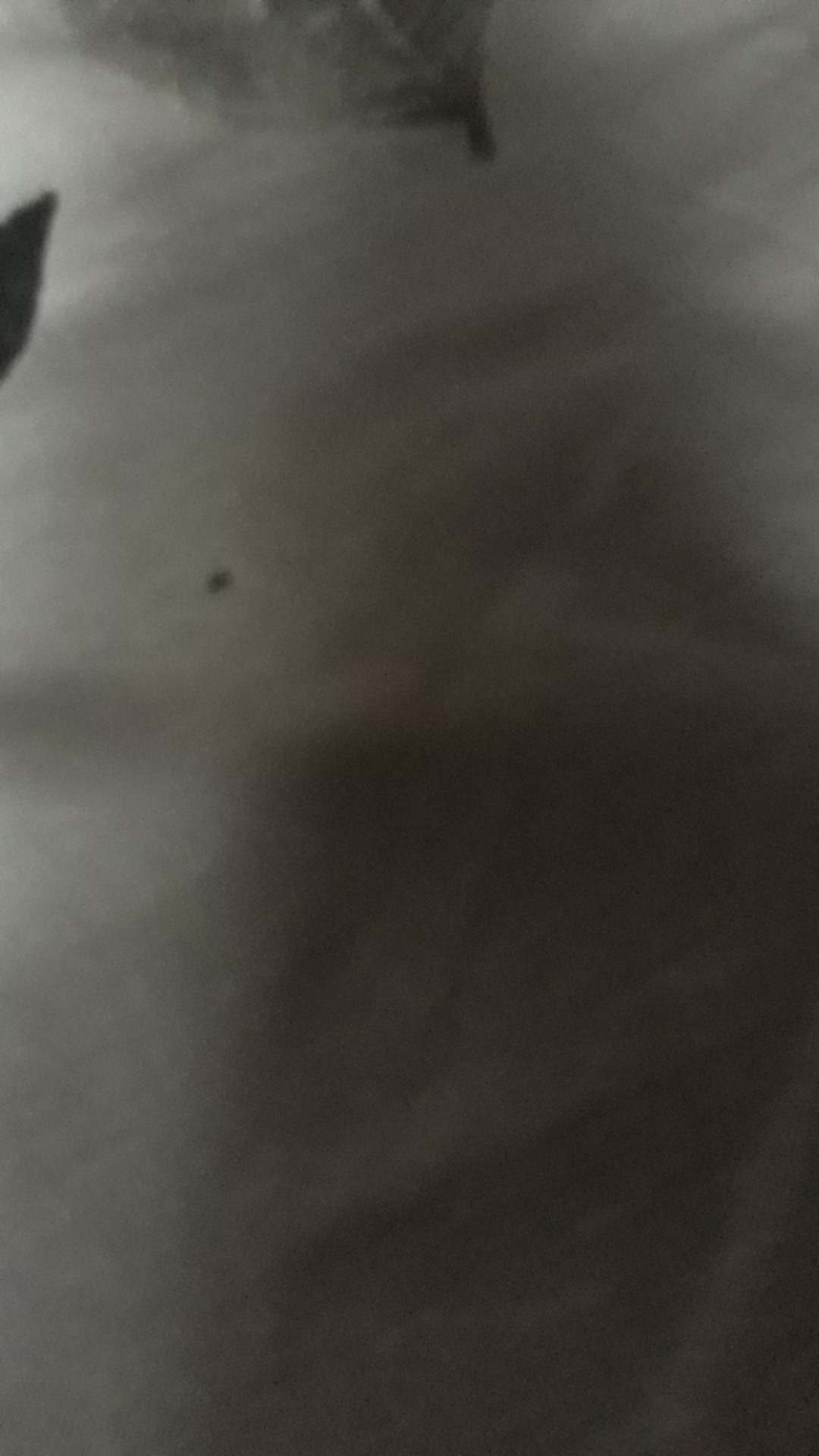 Promo Plastik Cor Lebar 1.2 M Tebal 05 Jual Meteran Putih Bening Transparan