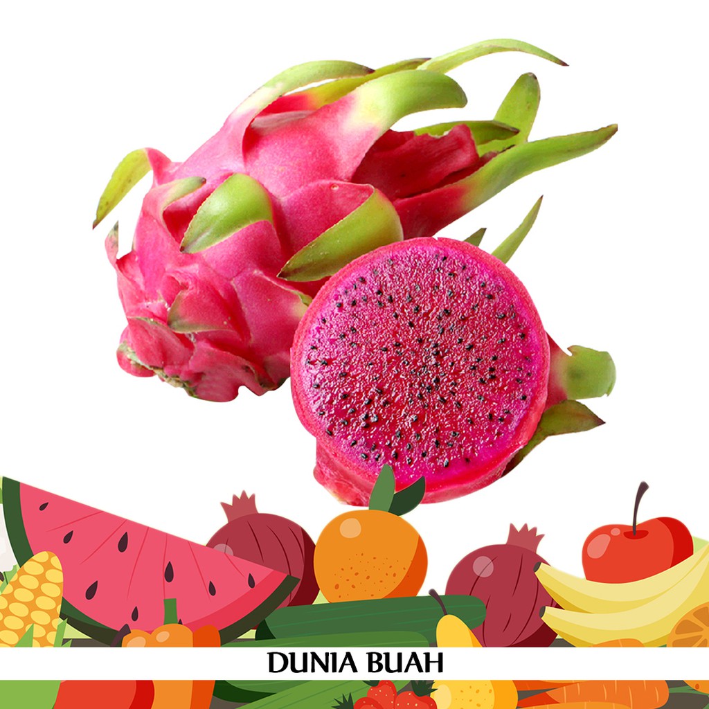 

Buah Naga Merah Termurah dan Paling Segar