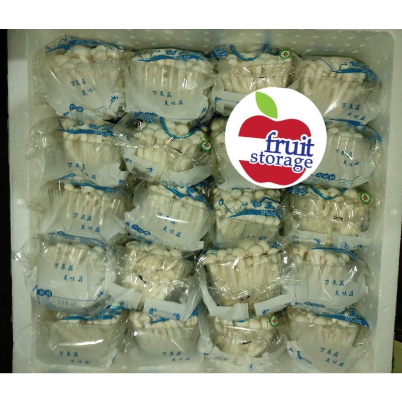 

Jamur Shimeji Import Fresh mushroom brown impor segar