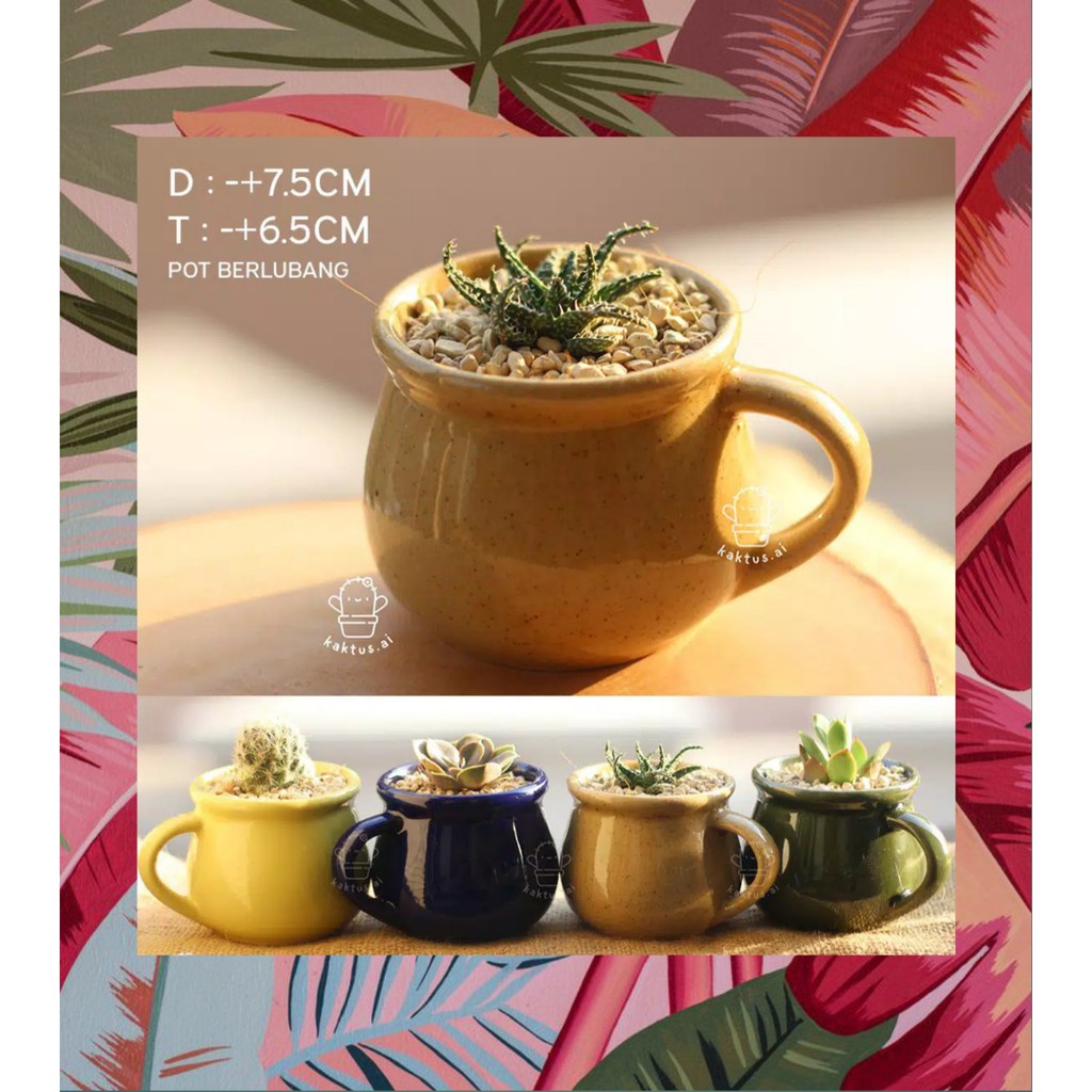 3 pot KERAMIK saja / + Tanaman kaktus sukulen mini kaca cangkir unik warna
