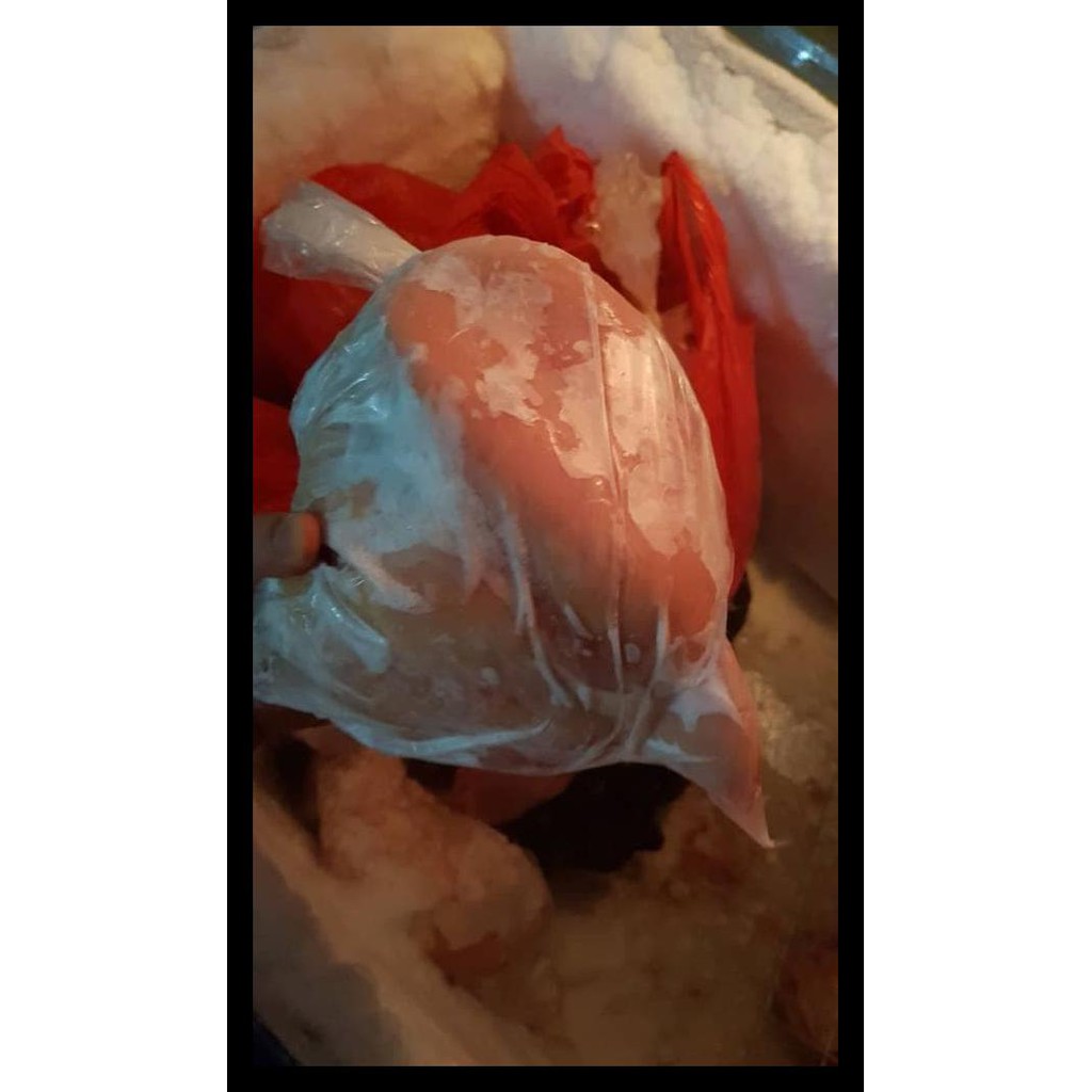 

Hot Product Daging Fillet Dada Ayam / Boneless Dada Ayam (Frozen)