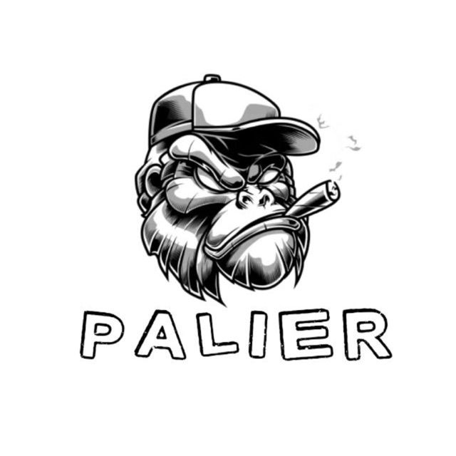 palierofficial.store