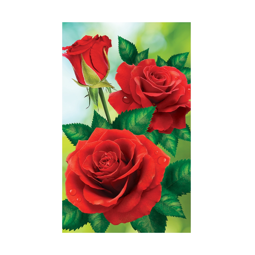 Diy Lukisan Diamond 5d Dengan Gambar Bunga Mawar Merah Untuk