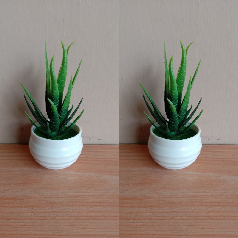 Bunga Plastik / Tanaman Lidah Buaya plastik