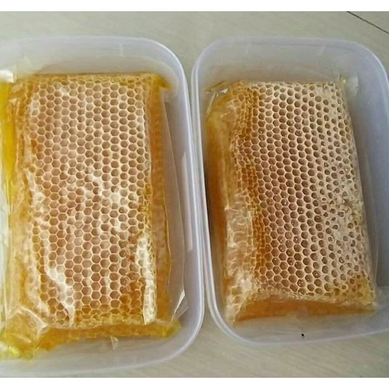 

Madu Sarang 250 gr