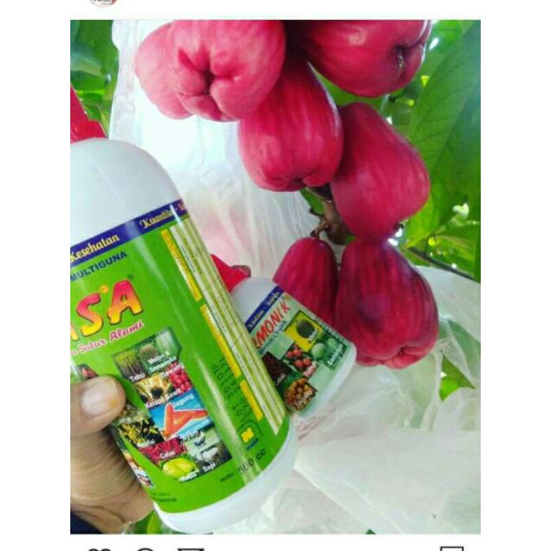 POC Nasa pupuk organik original