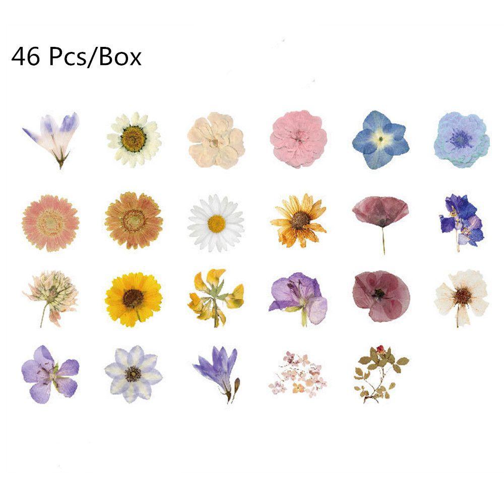 Stiker Bunga Warna-Warni Populer New Scrapbooking DIY 46pcs /Box