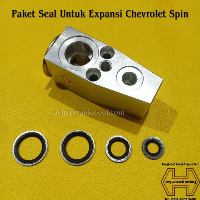 hanya disini] Paket Seal Oring untuk Expansi Chevrolet Spin Total 4Pcs