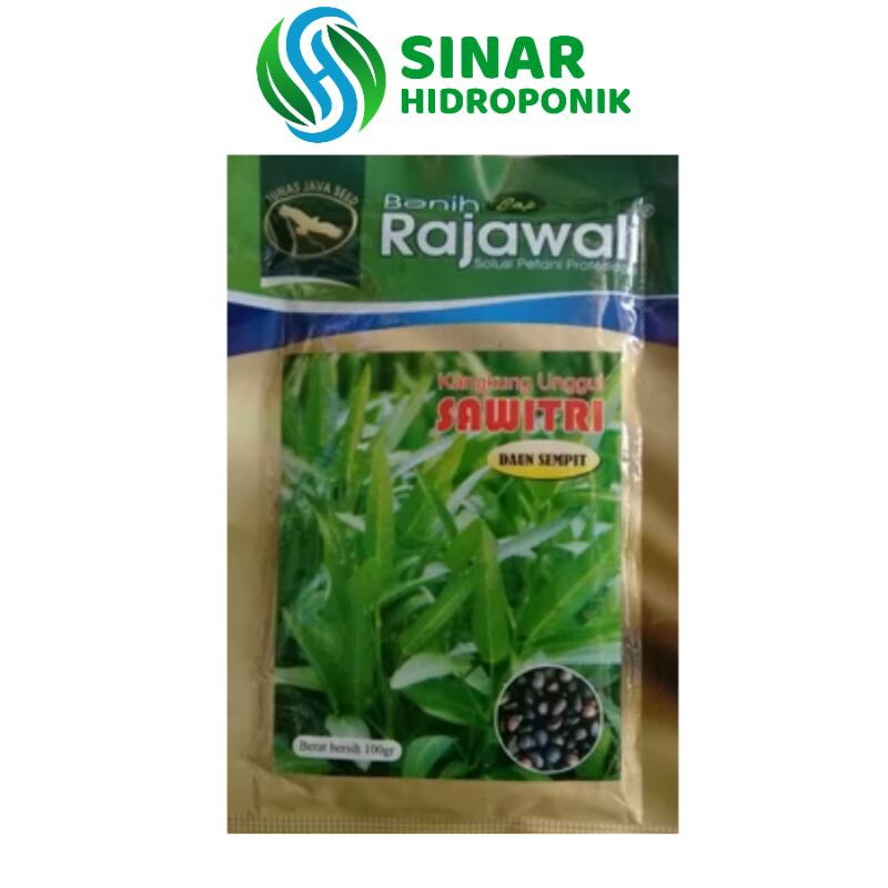 BENIH KANGKUNG SAWITRI RAJAWALI