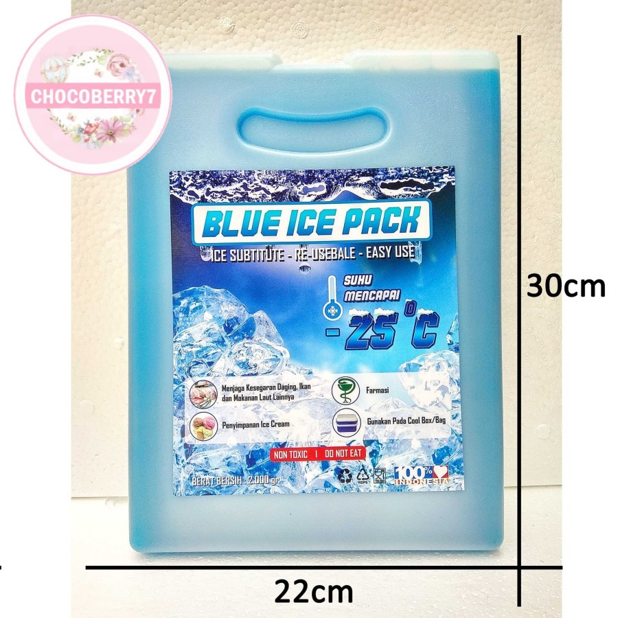 Ice Pack Jumbo Blue Ice Pack Jumbo Reusable Pengganti Dry Ice