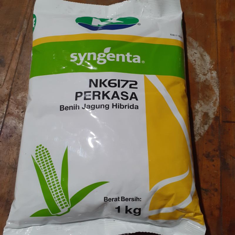 Benih jagung kering Hibrida  syngenta PERKASA 1kg