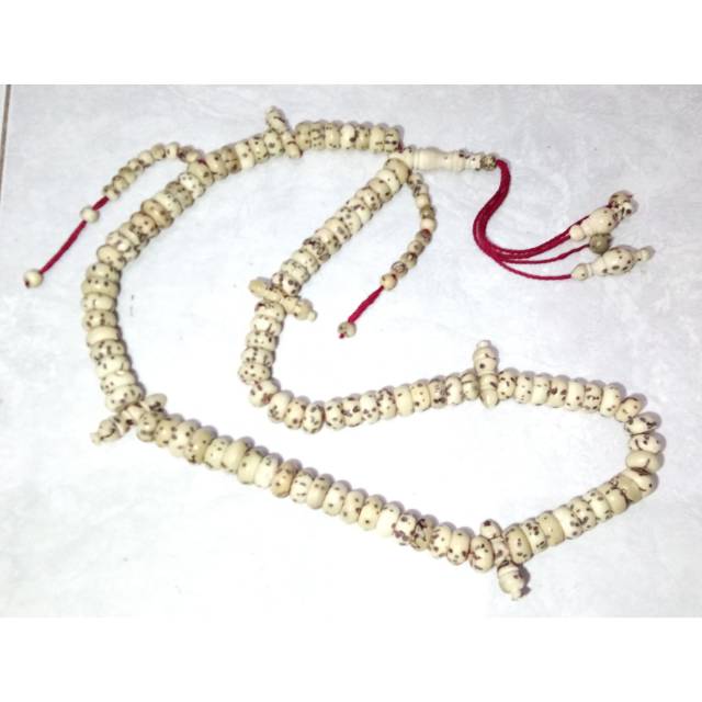 Tasbih tijani oud sholib