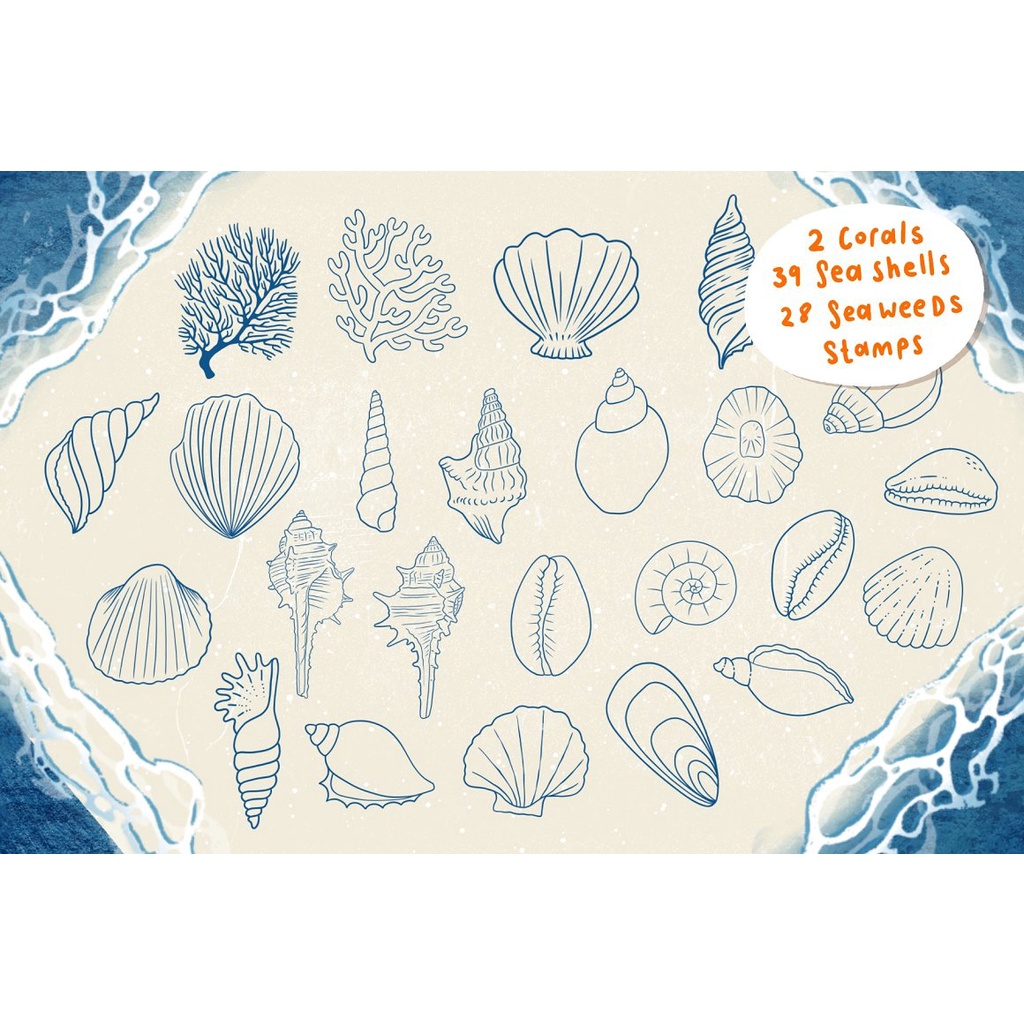 Procreate Brush - Seashells &amp; Driftwood Procreate Set