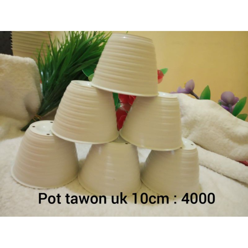 Grosir POT TAWON UK 10CM/ pot tawon putih/pot putih/pot plastik Murah Tebal.