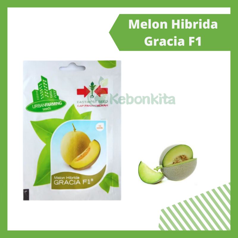 Benih Bibit Melon Gracia F1 Cap Panah Merah