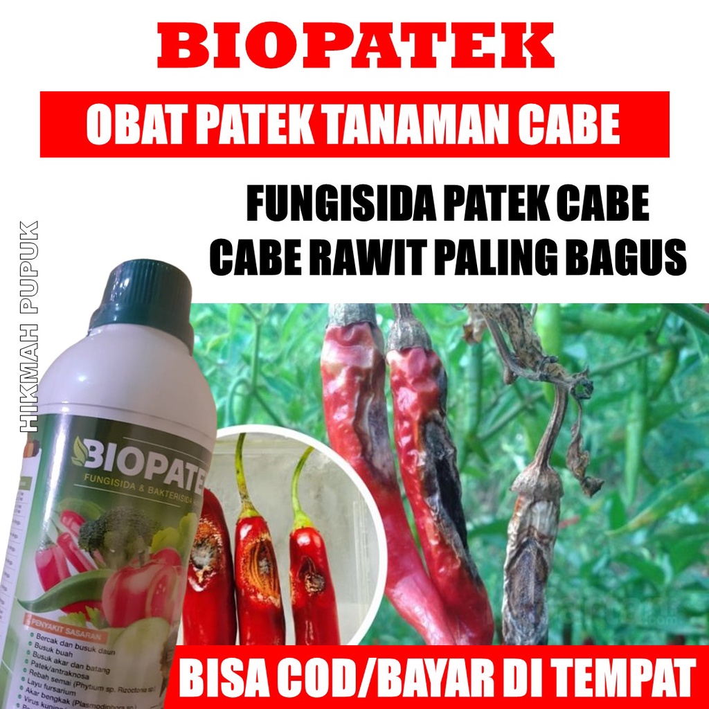PROMO OBAT HAMA PATEK CABE isi 500 ML OBAT CABAI PATEK, BIOPATEK FUNGISIDA BAKTERISIDA PATEK CABE, O