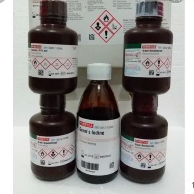 Gram Stain Kit 1 Set Shopee Indonesia