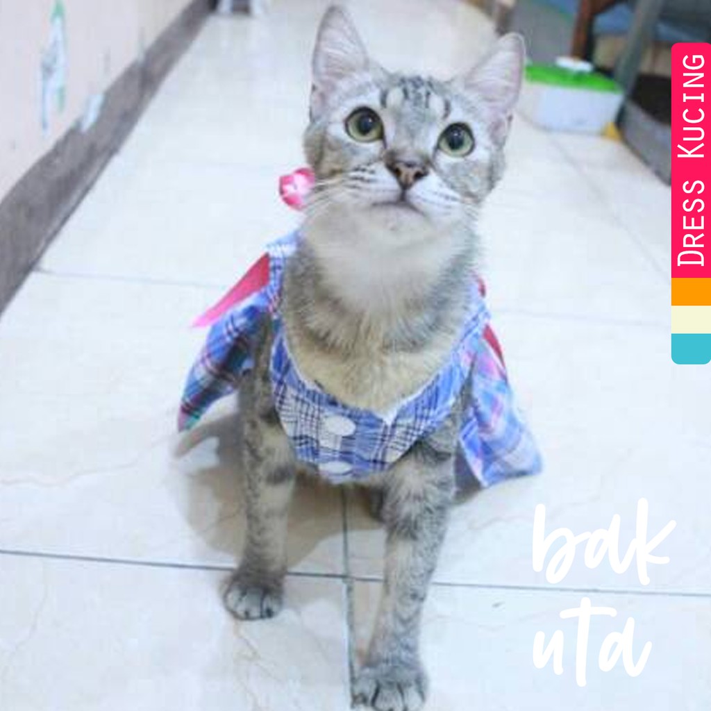 Dress kotak-kotak biru untuk kucing &amp; anjing /Jual Baju Kucing Terlengkap &amp; Berkualitas size S-XL