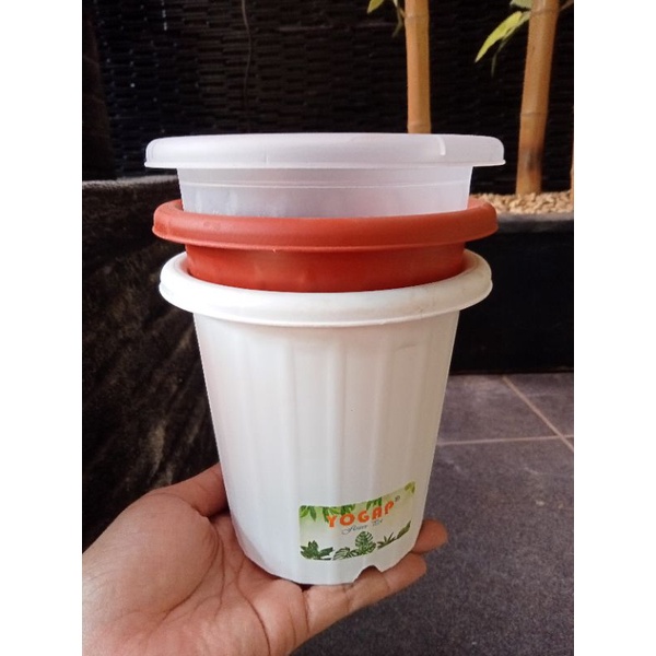 YOGAP 10 Pot Tinggi Yogap 10