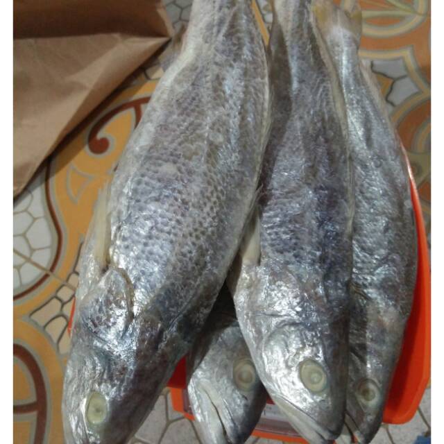

Ikan sangge