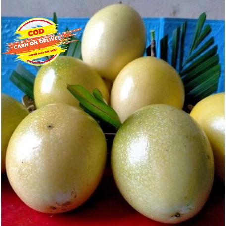 

Buah markisa segar per 1 kg Termurah