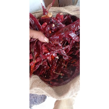 

( 1kg ) CABE MERAH BESAR KERING TANPA TANGKAI TIDAK PEDAS KUALITAS BAGUS