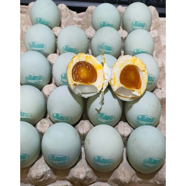 

Telur asin "teRASE
