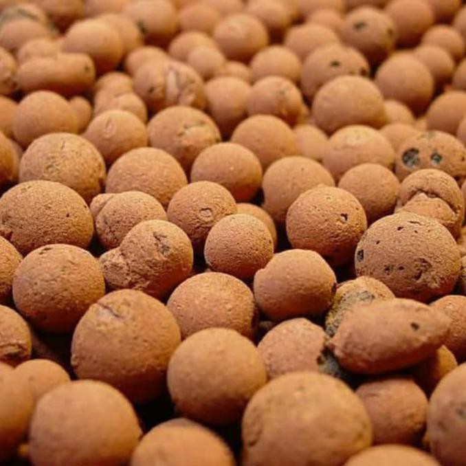 Hydroton Germany Hydroton 50 Liter, 1 Karung Media Tanam Hidroponik Diansuzuyu