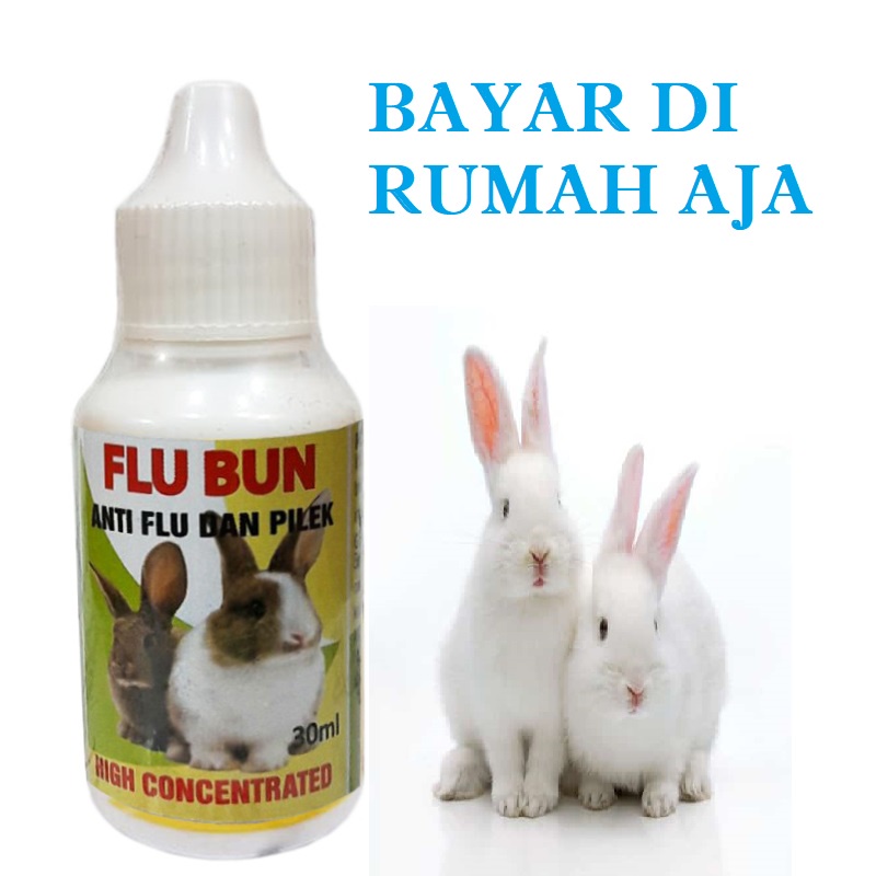 OBAT FLU KELINCI ANTI FLU DAN PILEK KELINCI - FLU BUN