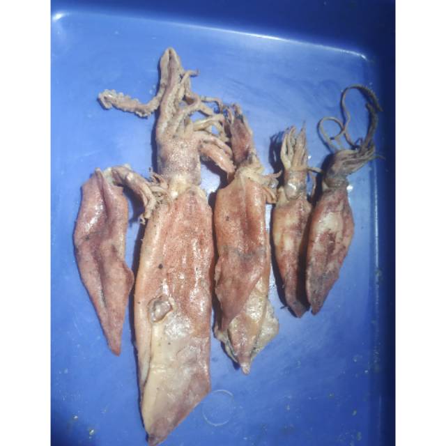 

Termurah Asin cumi Pangandaran 700gr