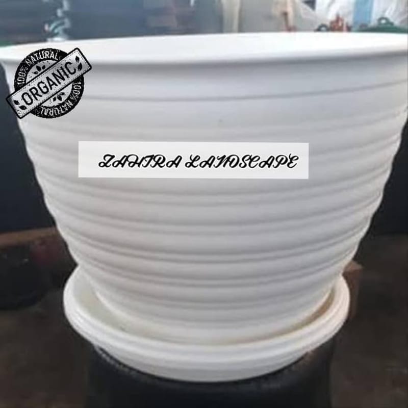 Pot Tawon Putih Diameter 18