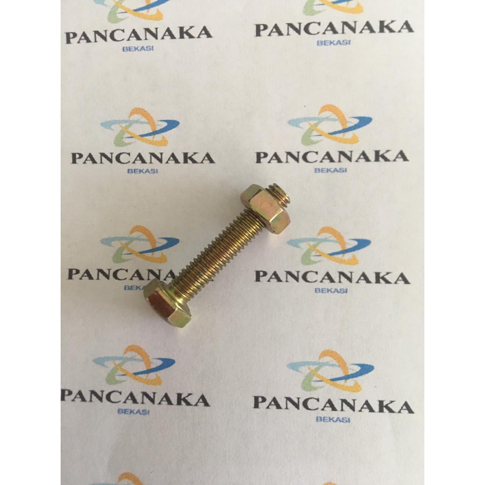 BAUT MUR KUNING 6X30