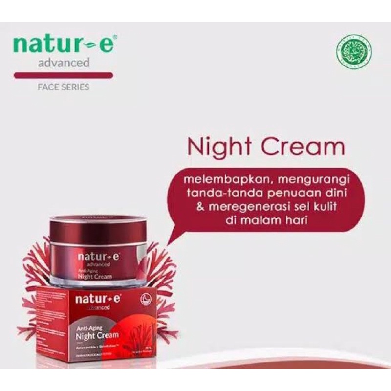 Natur E Anti Aging Night Cream